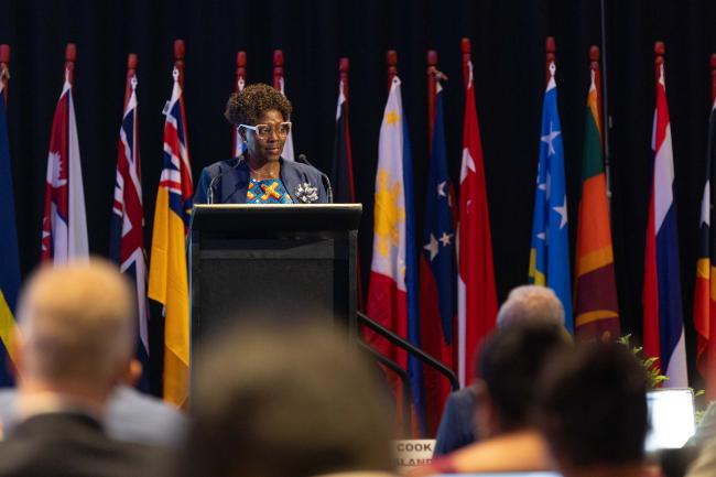 Elizabeth Maruma Mrema, Deputy Executive Director, UNEP