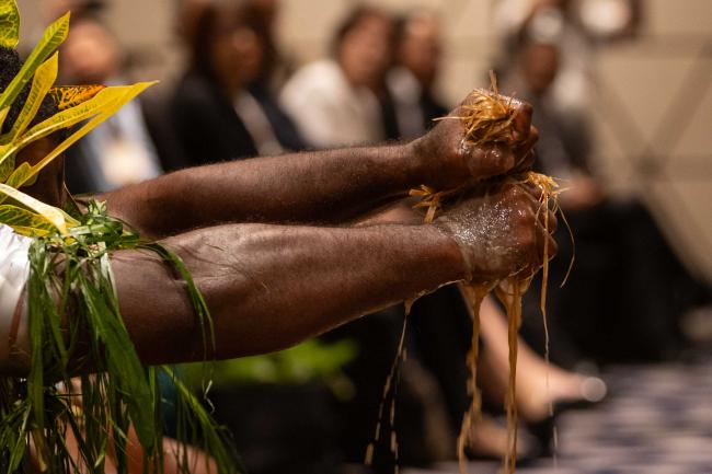 Kava preparation