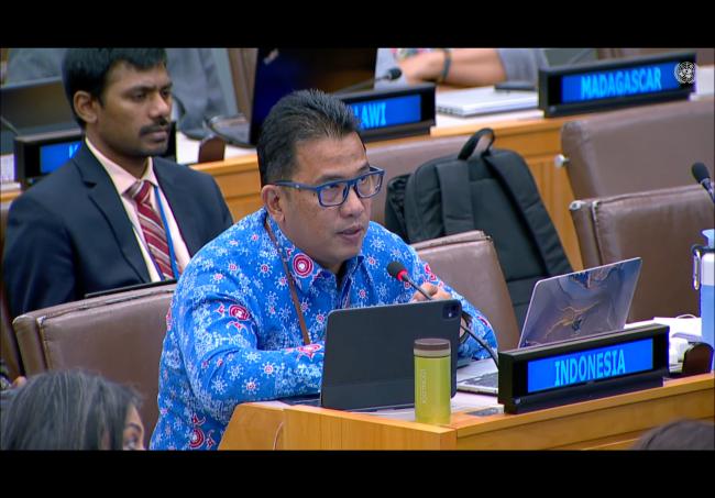 Representative from Indonesia