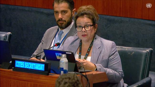 Ivonne Higuero, CITES Secretary-General