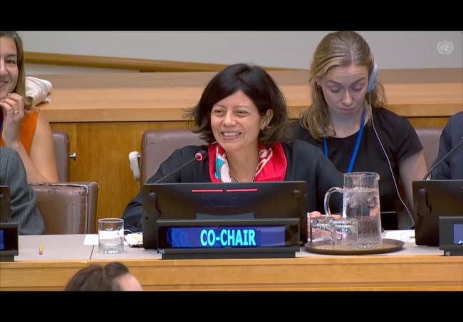 BBNJ PrepCom Co-Chair Janine Coye-Felson, Belize