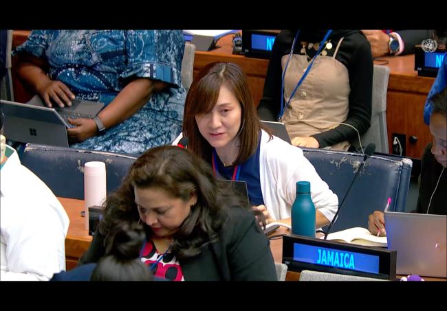 Representative from Japan