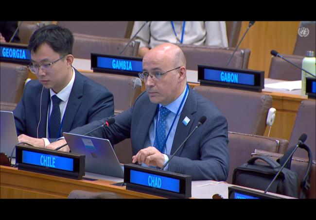 Julio Cardano, Chile, on behalf of the Core Latin American Group (CLAM)