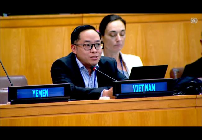 Le Viet Phuong, Viet Nam