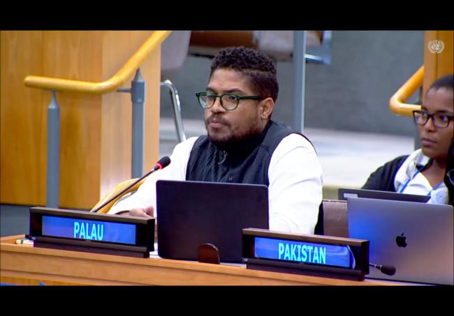 Michai Robertson, Palau