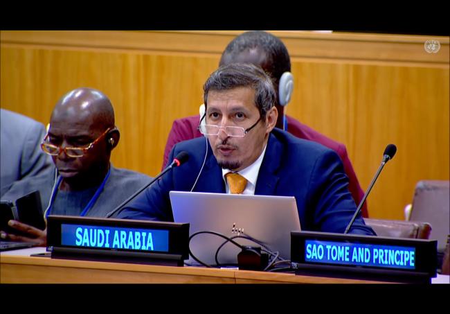 Representative from Saudi Arabia