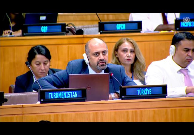 Representative from Türkiye