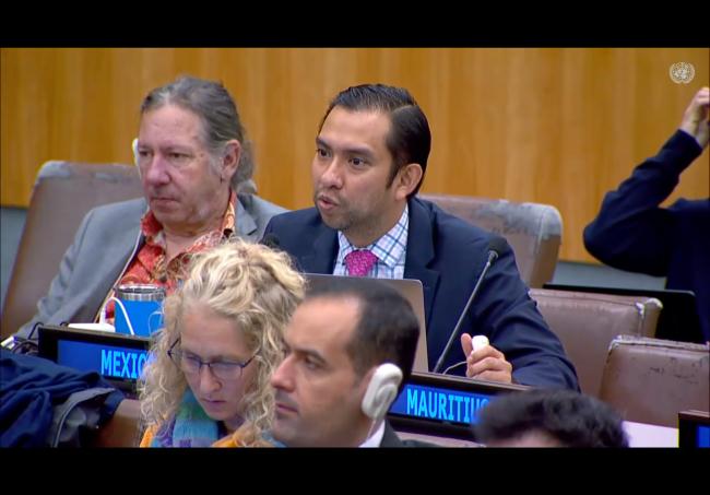 Uriel Pérez, Mexico, on behalf of the Core Latin American Group (CLAM)