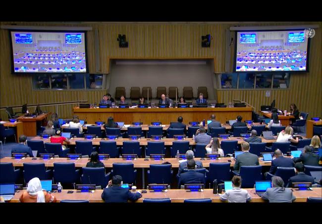 Deliberations on item 5 of the agenda were carried out in Conference Room 4