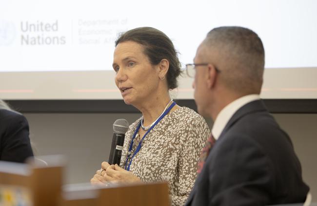 Annika Blakstad Otterstedt, Assistant Director General, SIDA - EnergyNow-SDG7 - 24Sep2025