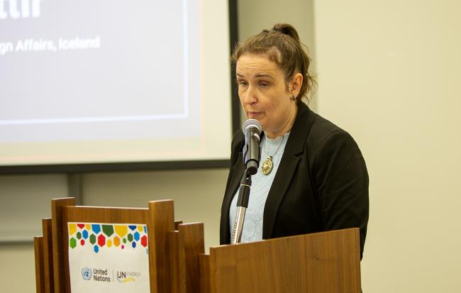 María Erla Marelsdóir, Climate Ambassador, Ministry of Foreign Affairs, Iceland - EnergyNow-SDG7 - 25Sep2025