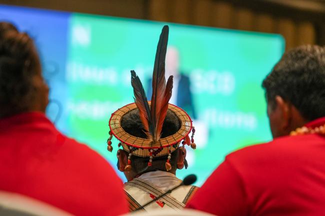 Indigenous Peoples representative