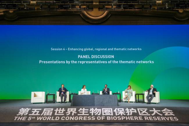 Session 4 – Enhancing global, regional and thematic networks 