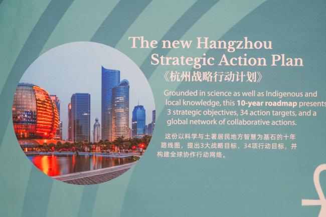 Hangzhou Strategic Plan
