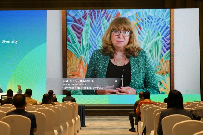 Astrid Schomaker, Executive Secretary, Convention on Biological Diversity (video message)