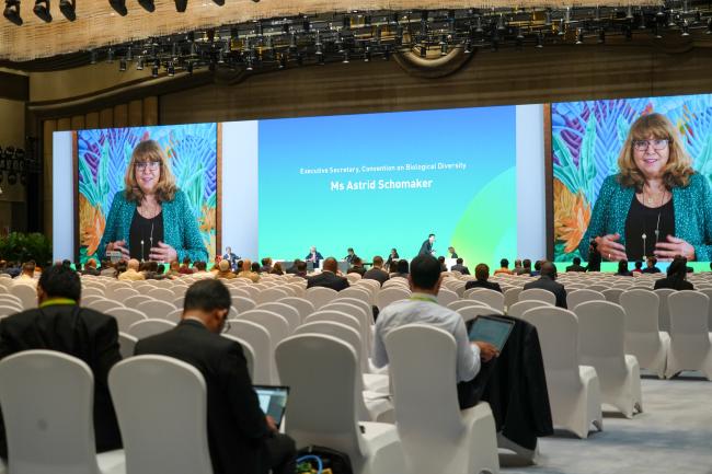 Astrid Schomaker, Executive Secretary, Convention on Biological Diversity (video message)