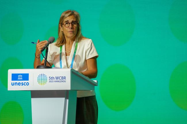 Fernanda Rollo, New University of Lisbon, Portugal