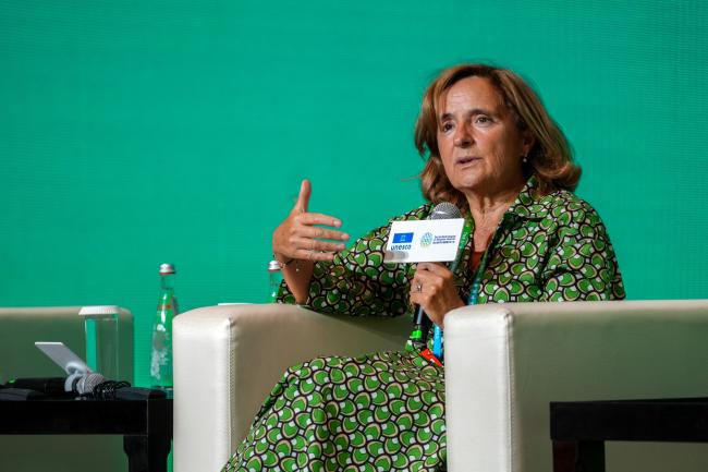 Helena Freitas, Chairholder, UNESCO Chair in Biodiversity and Conservation for Sustainable Development, University of Coimbra, Portugal 