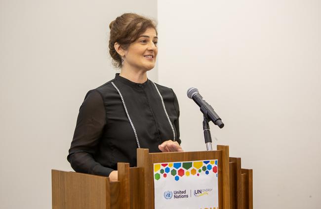 Moderator Morning Plenary - EnergyNow-SDG7 - 25Sep2025