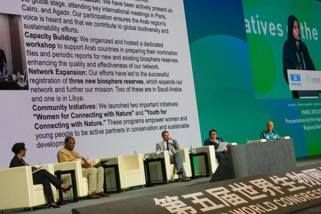 Panel discussion: Presentations by the representatives of the Regional Networks Speakers