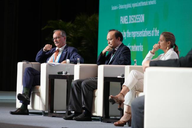 Panel discussion: Presentations by the representatives of the thematic networks Speakers