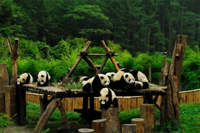 Wolong Biosphere Reserve