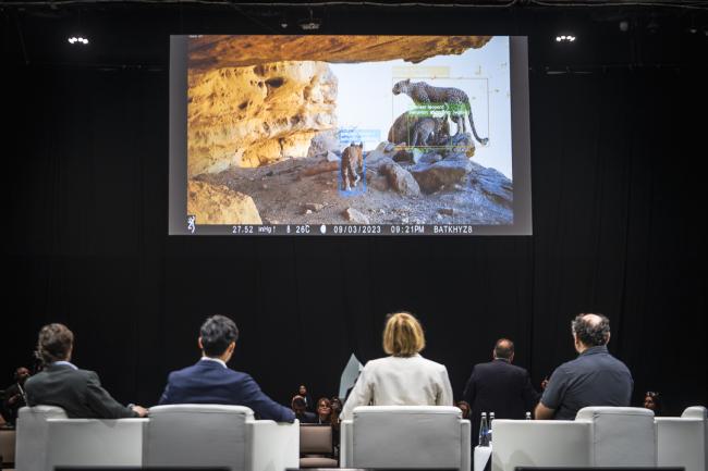 IUCN Business Summit