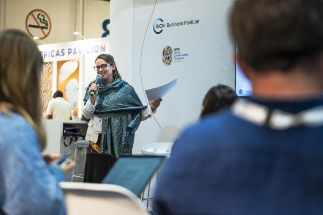IUCN Business Summit