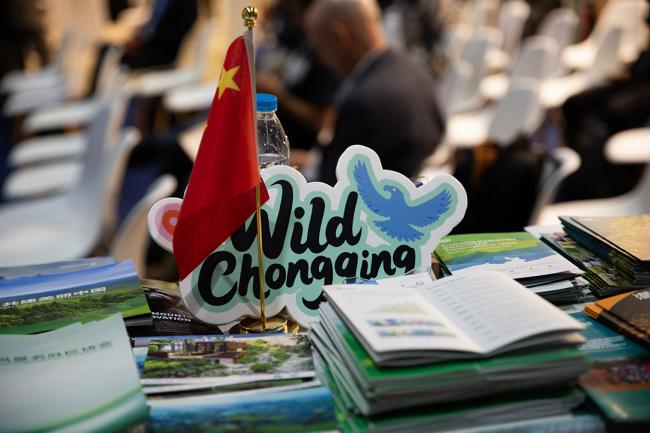 Around the Venue 1 - IUCN-World Conservation Congress 2025- 12Oct2025