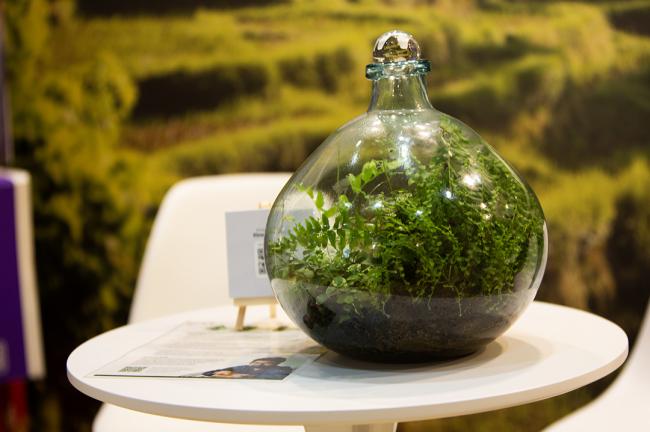 Around the Venue- IUCN-World Conservation Congress 2025- 132Oct2025