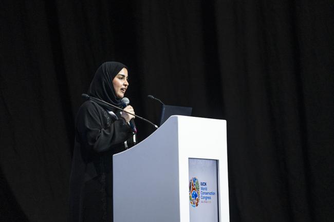 Global Youth Summit