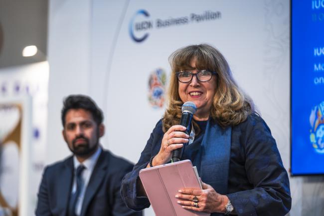 IUCN Business Summit