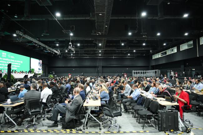 View of the room during the afternoon plenary
