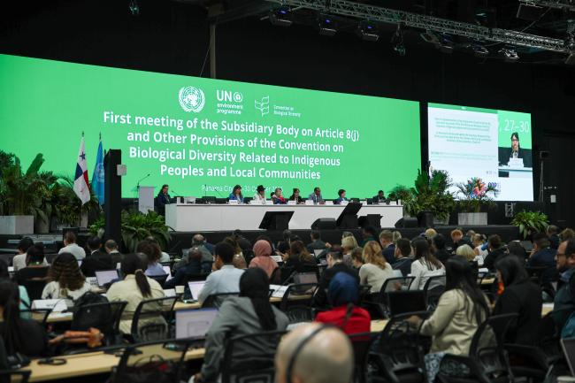 View of the room during the plenary session