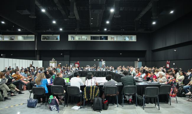 View of the room during the contact group on guidelines