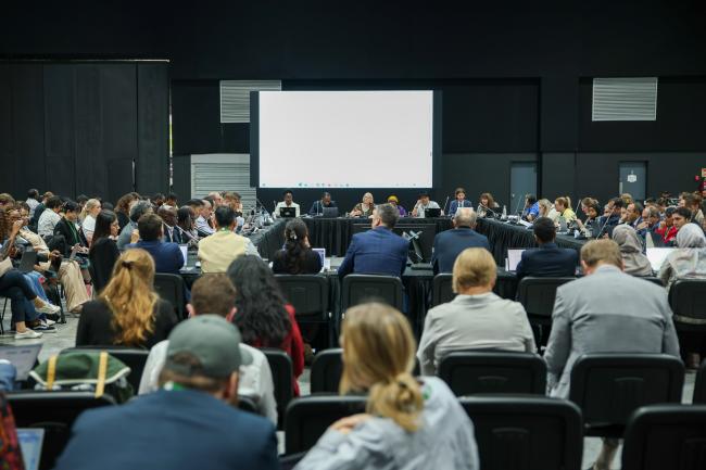 View of the room during the contact group on the modus operandi of SB8j