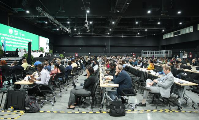 View of the room during the afternoon plenary
