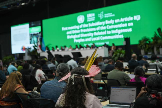 Plenary