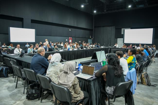 View of the room during the contact group on proposed elements for guidelines related to the Programme of Work on Article 8(j)
