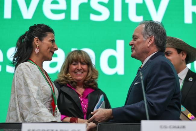 SB8j 1 Co-Chair Irene Vélez Torres, Colombia, with Juan Carlos Navarro, Minister of Environment, Panama