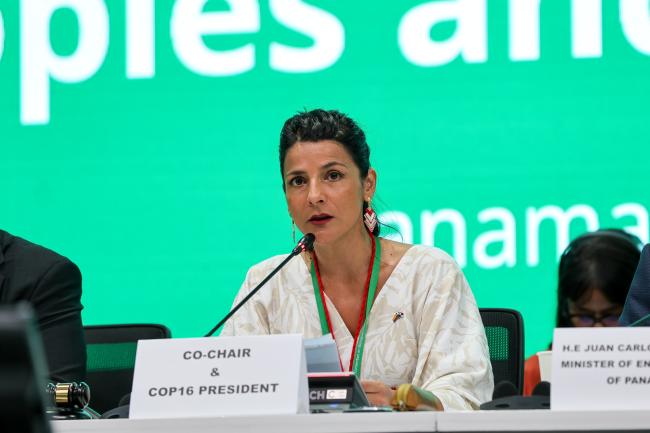 SB8j 1 Co-Chair Irene Vélez Torres, Colombia