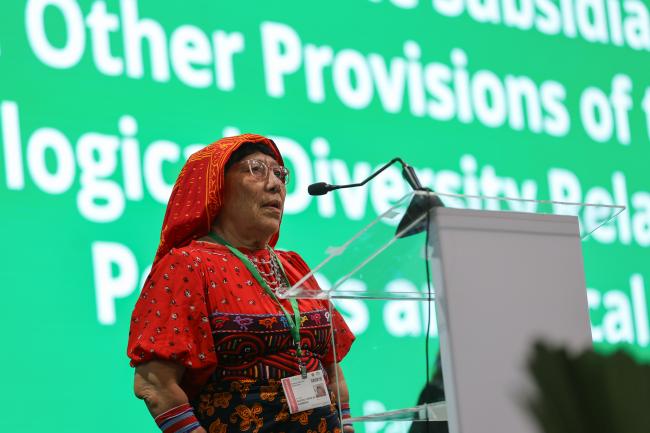Briseida Iglesias López de Guerrero, founder of the Bundorgan Women’s Network