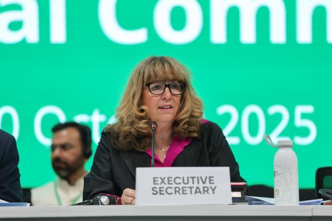 CBD Executive Secretary Astrid Schomaker