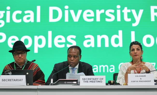 From L-R: Q”apaj Conde Choque, CBD Secretariat; SB8j 1 Secretary Olivier Rukundo; and SB8j 1 Co-Chair Irene Vélez Torres, Colombia