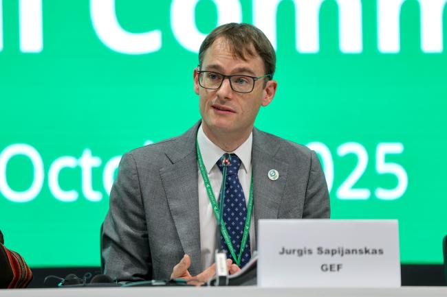 Jurgis Sapijanskas, Global Environment Facility