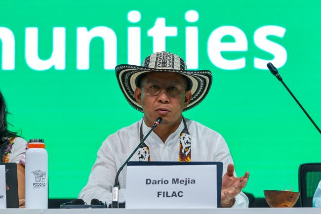 Darío Mejía, Fund for the Development of Indigenous Peoples of Latin America and the Caribbean