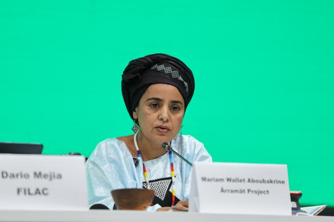 Mariam Wallet Aboubakrine, Ărramăt Project