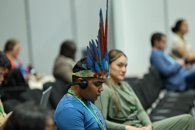 Plenary