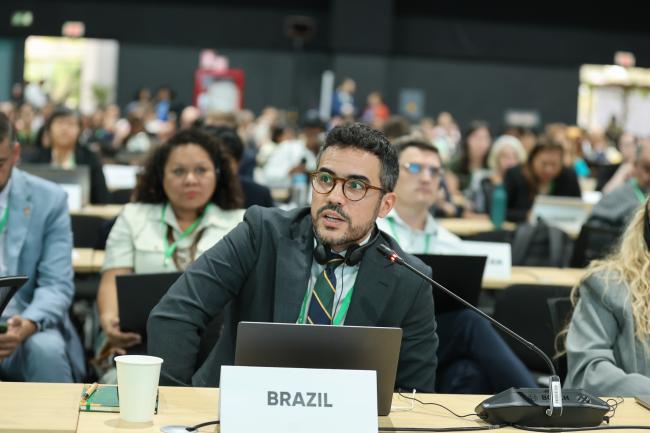Diego Gonçalves, Brazil