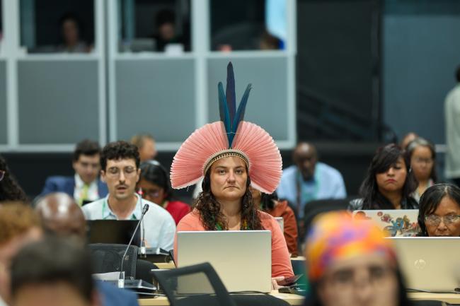 Plenary